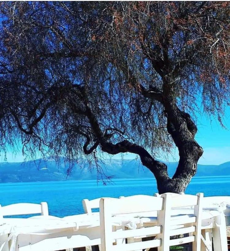 Agii Dimitrios ke Panteleimon Eratous Seaside Houseヴィラ エクステリア 写真
