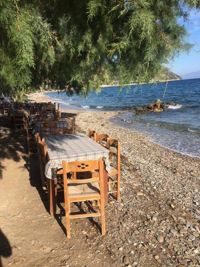 Agii Dimitrios ke Panteleimon Eratous Seaside Houseヴィラ エクステリア 写真
