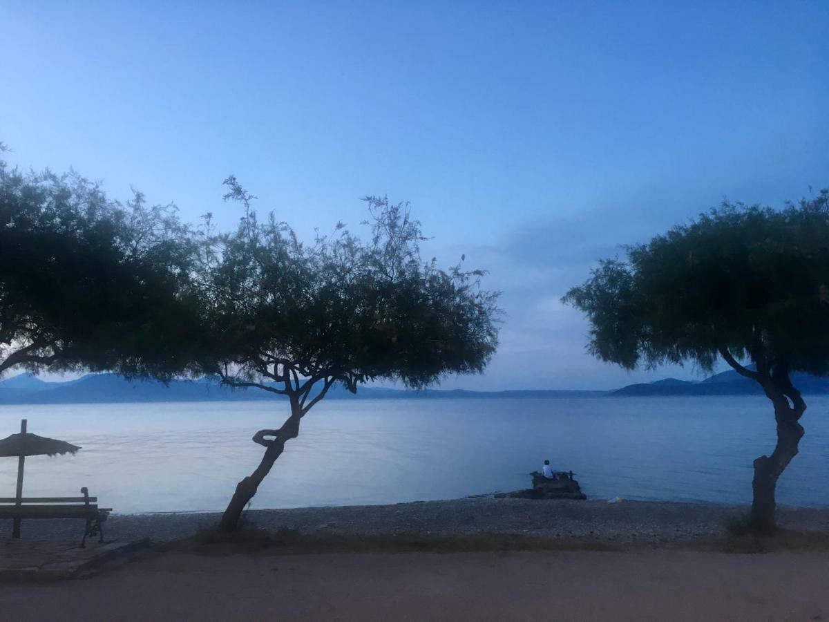Agii Dimitrios ke Panteleimon Eratous Seaside Houseヴィラ エクステリア 写真