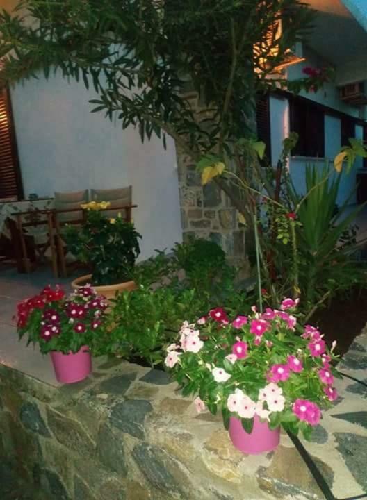 Agii Dimitrios ke Panteleimon Eratous Seaside Houseヴィラ エクステリア 写真