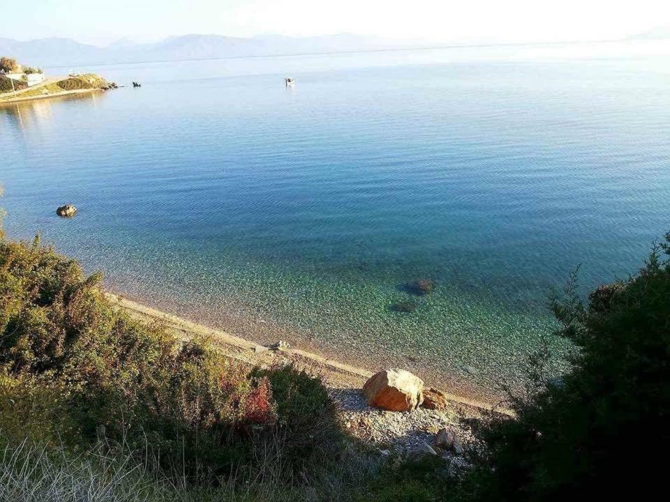 Agii Dimitrios ke Panteleimon Eratous Seaside Houseヴィラ エクステリア 写真