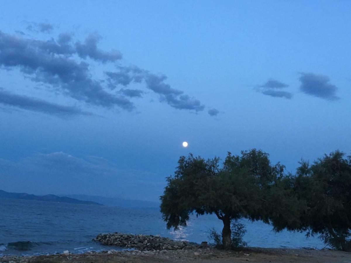 Agii Dimitrios ke Panteleimon Eratous Seaside Houseヴィラ エクステリア 写真